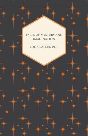 Cover of the book Tales of Mystery and Imagination by Théophile Gautier