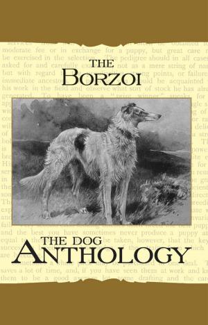 Cover of the book Borzoi: The Russian Wolfhound - A Dog Anthology (A Vintage Dog Books Breed Classic) by Richard Cook