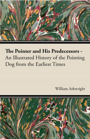 Cover of the book The Pointer and His Predecessors: An Illustrated History of the Pointing Dog from the Earliest Times by Horace G. Hutchinson