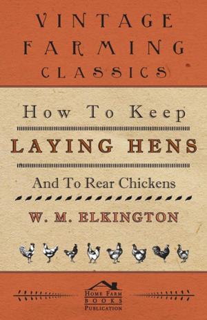 Cover of the book How to Keep Laying Hens and to Rear Chickens by Free Lance