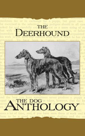 Book cover of The Deerhound - A Dog Anthology (A Vintage Dog Books Breed Classic)