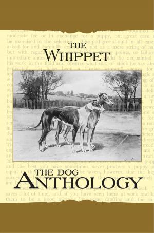 bigCover of the book The Whippet - A Dog Anthology (A Vintage Dog Books Breed Classic) by 