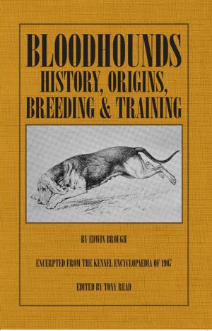 Book cover of Bloodhounds: History - Origins - Breeding - Training