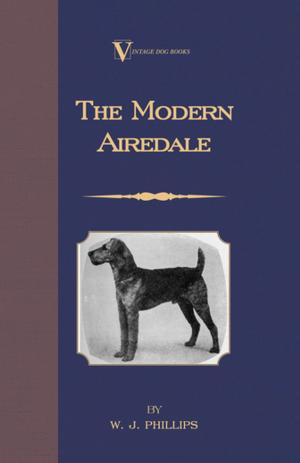 Book cover of The Modern Airedale Terrier: With Instructions for Stripping the Airedale and Also Training the Airedale for Big Game Hunting. (A Vintage Dog Books Breed Classic)