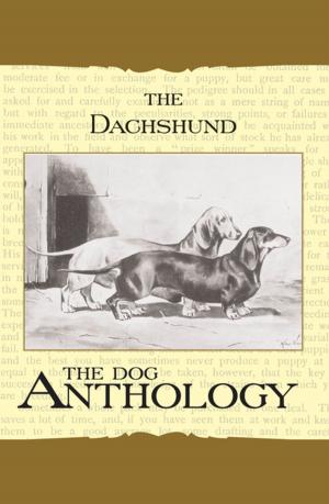 bigCover of the book The Daschund - A Dog Anthology (A Vintage Dog Books Breed Classic) by 