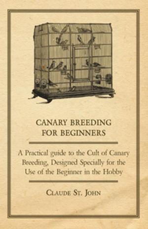 Cover of the book Canary Breeding for Beginners - A Practical Guide to the Cult of Canary Breeding, Designed Specially for the Use of the Beginner in the Hobby. by Sir Rabindranath Tagore