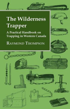 Cover of the book The Wilderness Trapper - A Practical Handbook on Trapping in Western Canada by William W. Canfield