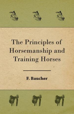 Cover of the book The Principles of Horsemanship and Training Horses by Olive Schreiner