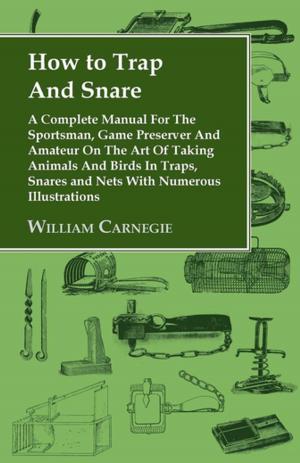 bigCover of the book How to Trap and Snare - A Complete Manual for the Sportsman, Game Preserver and Amateur on the Art of Taking Animals and Birds in Traps, Snares and Nets with Numerous Illustrations by 