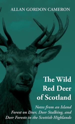 Book cover of The Wild Red Deer of Scotland - Notes from an Island Forest on Deer, Deer Stalking, and Deer Forests in the Scottish Highlands