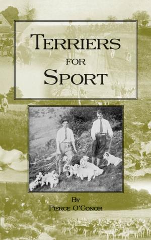 Book cover of Terriers for Sport (History of Hunting Series - Terrier Earth Dogs)