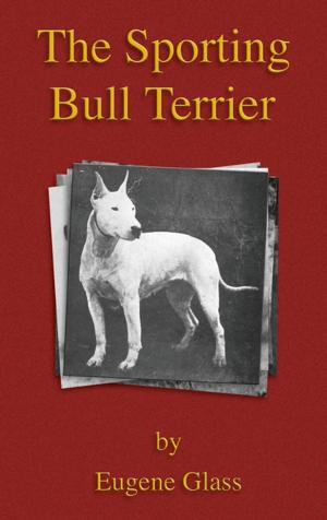 Book cover of The Sporting Bull Terrier (Vintage Dog Books Breed Classic - American Pit Bull Terrier)