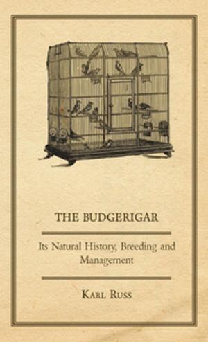 bigCover of the book The Budgerigar - Its Natural History, Breeding and Management by 