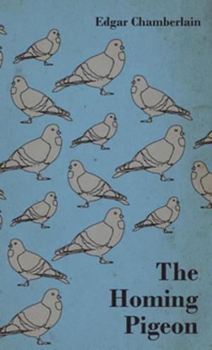 Cover of the book The Homing Pigeon by Frank A. Waugh