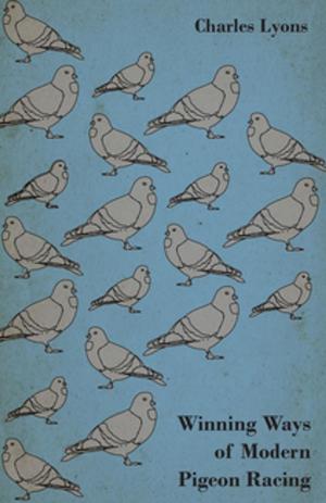 Cover of the book Winning Ways of Modern Pigeon Racing by Monroe C. Beardsley