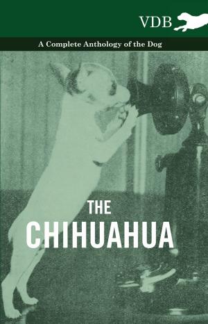 bigCover of the book The Chihuahua - A Complete Anthology of the Dog - by 