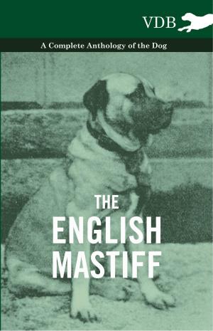 bigCover of the book The English Mastiff - A Complete Anthology of the Dog by 