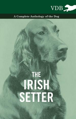 Book cover of The Irish Setter - A Complete Anthology of the Dog