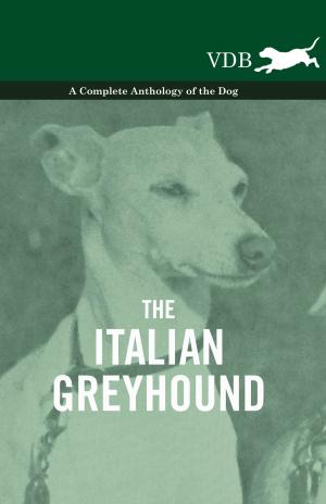 Cover of the book The Italian Greyhound - A Complete Anthology of the Dog by W. H. Hulme