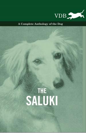 Cover of the book The Saluki - A Complete Anthology of the Dog by J. B. Marsh