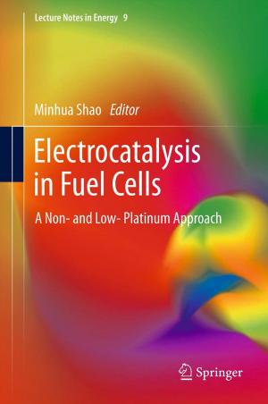 Cover of the book Electrocatalysis in Fuel Cells by Francesco Garbati Pegna, Daniele Sarri, Lucia Recchia, Enrico Cini, Paolo Boncinelli, Marco Vieri