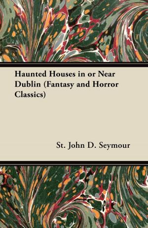 Cover of the book Haunted Houses in or Near Dublin (Fantasy and Horror Classics) by E. M. Humphris