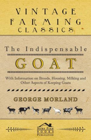 Cover of the book The Indispensable Goat - With Information on Breeds, Housing, Milking and Other Aspects of Keeping Goats by W. H. Gilbert