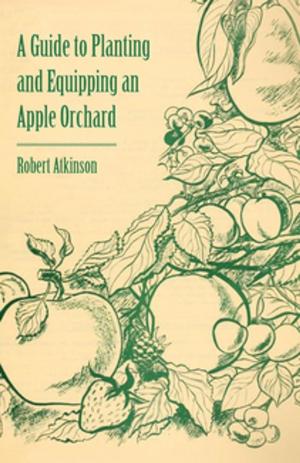 Book cover of A Guide to Planting and Equipping an Apple Orchard