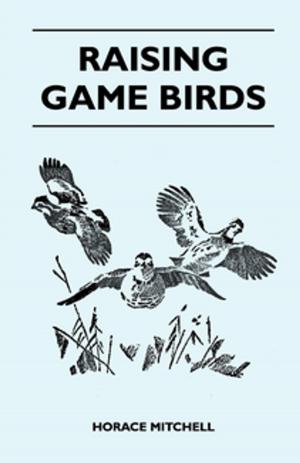 Cover of the book Raising Game Birds by Captain E. D. Miller