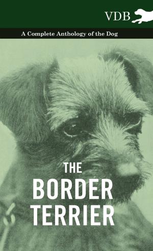 Cover of the book The Border Terrier - A Complete Anthology of the Dog - by Anon