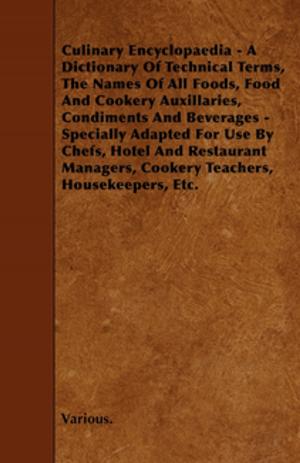 Cover of the book Culinary Encyclopaedia - A Dictionary of Technical Terms, the Names of All Foods, Food and Cookery Auxillaries, Condiments and Beverages - Specially a by D. Magner