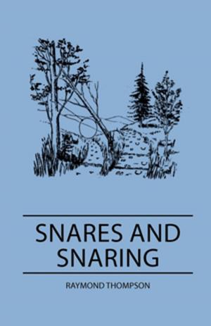 Cover of the book Snares and Snaring by David Gray