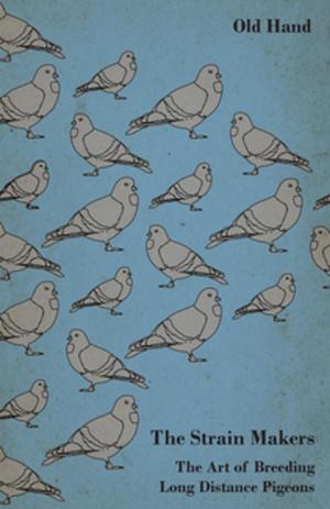 bigCover of the book The Strain Makers - The Art of Breeding Long Distance Pigeons by 