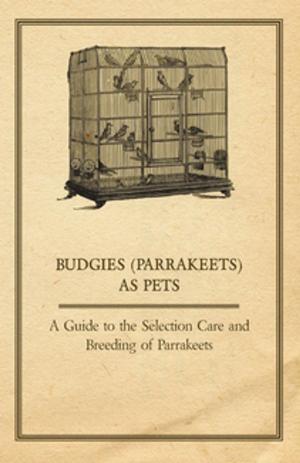Cover of the book Budgies (Parrakeets) as Pets - A Guide to the Selection Care and Breeding of Parrakeets by Ring Lardner