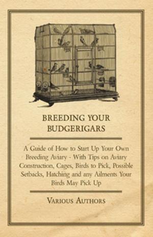 bigCover of the book Breeding Your Budgerigars - A Guide of How to Start Up Your Own Breeding Aviary - With Tips on Aviary Construction, Cages, Birds to Pick, Possible Setbacks, Hatching and any Ailments Your Birds May Pick Up by 