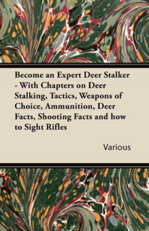 Cover of Become an Expert Deer Stalker - With Chapters on Deer Stalking, Tactics, Weapons of Choice, Ammunition, Deer Facts, Shooting Facts and How to Sight Ri
