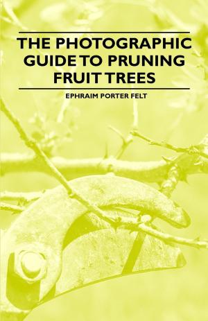 Cover of the book The Photographic Guide to Pruning Fruit Trees by James Laver