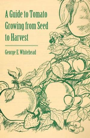 Cover of the book A Guide to Tomato Growing from Seed to Harvest by Grace Rogers Cooper