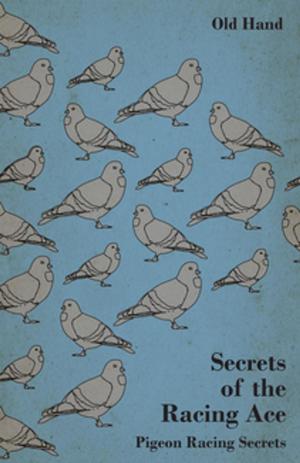 bigCover of the book Secrets of the Racing Ace - Pigeon Racing Secrets by 