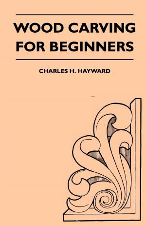 Cover of the book Wood Carving for Beginners by F. Noel Taylor