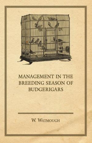 Cover of the book Management in the Breeding Season of Budgerigars by Frank Cheshire