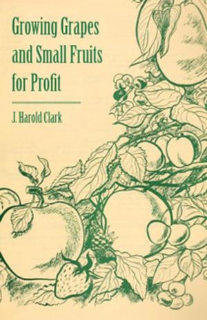 Cover of the book Growing Grapes and Small Fruits for Profit by Eva March Tappan