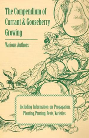 Cover of the book The Compendium of Currant and Gooseberry Growing - Including Information on Propagation, Planting, Pruning, Pests, Varieties by Marcus Woodward