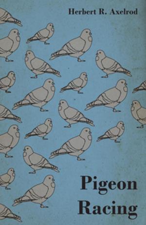 Cover of the book Pigeon Racing by Guy de Mauspassant