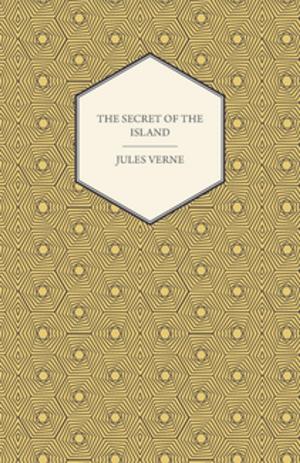 Cover of the book The Secret of the Island by Edward Thomas