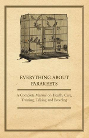 bigCover of the book Everything about Parakeets - A Complete Manual on Health, Care, Training, Talking and Breeding by 