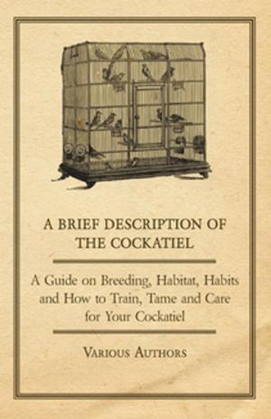 Cover of the book A Brief Description of the Cockatiel - A Guide on Breeding, Habitat, Habits and How to Train, Tame and Care for Your Cockatiel by H. Bedford-Jones