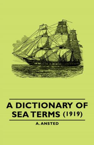 Cover of the book A Dictionary of Sea Terms (1919) by Edgar Allan Poe