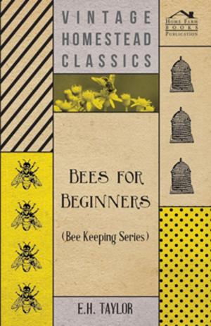 Cover of the book Bees for Beginners (Bee Keeping Series) by Mary Webb