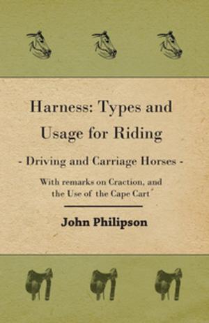 bigCover of the book Harness: Types and Usage for Riding - Driving and Carriage Horses - With remarks on Craction, and the Use of the Cape Cart by 